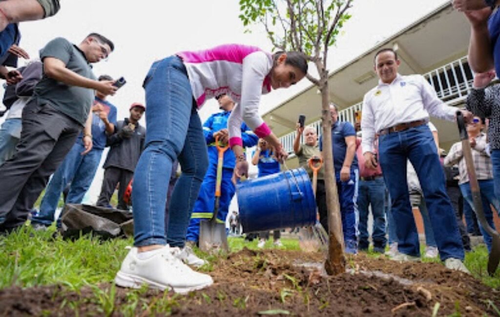 Logran rescatar 100 mil árboles de muérdago y arranca forestación 2026