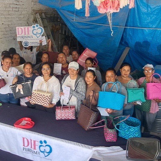bolsas