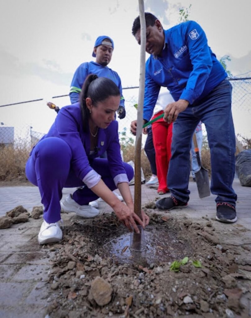 Crece un León más verde con nuevos árboles en calles y bulevares