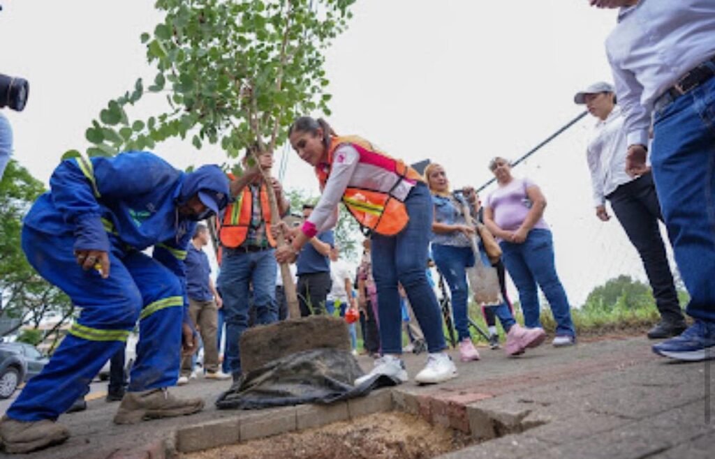 León más verde que nunca con más de 166 mil árboles