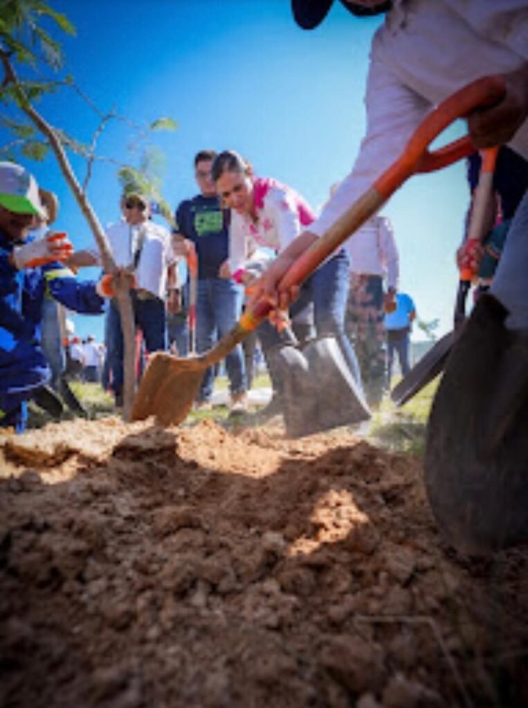 En León se han plantado más de 62 mil árboles y se rescataron más de 104 mil