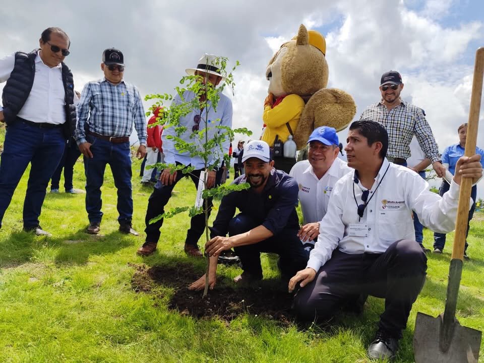 reforestación