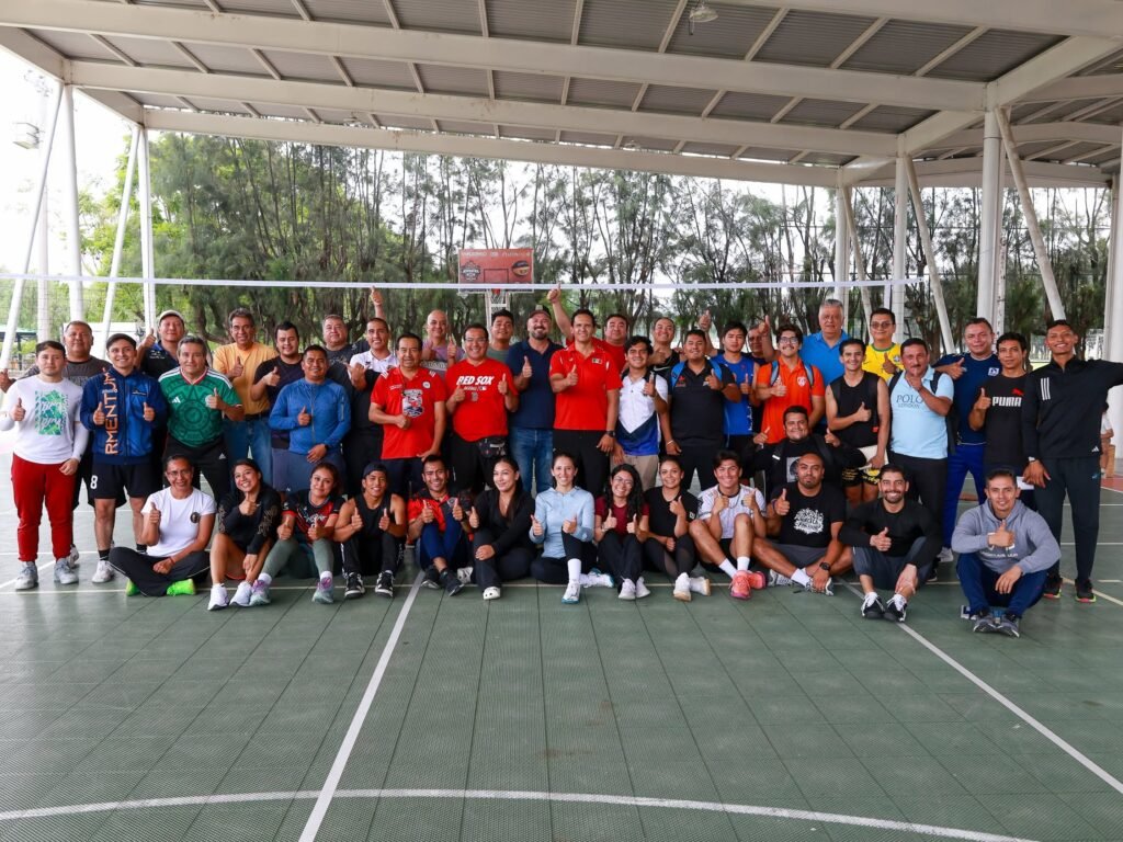 voleibol