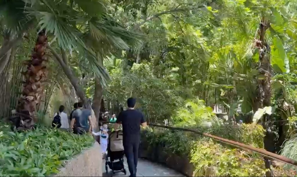 Zoologico