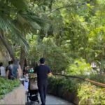 Zoologico
