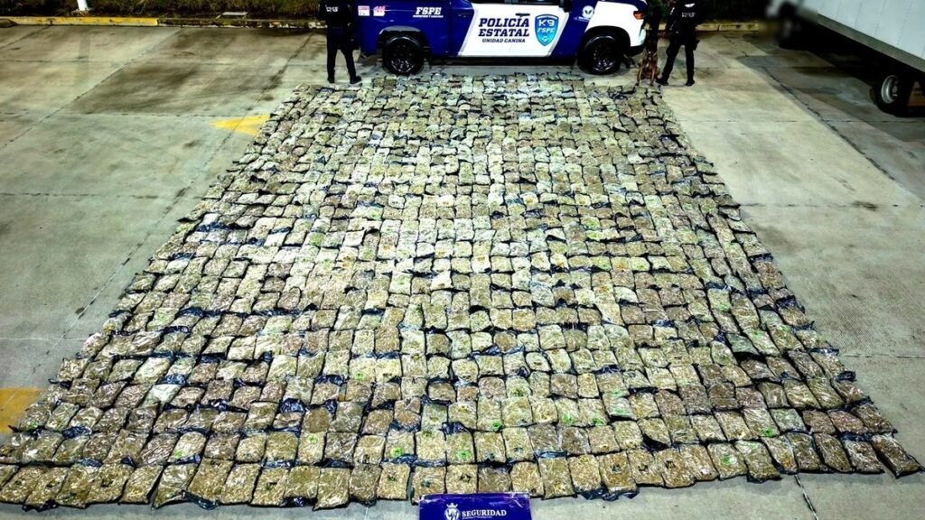 Decomiso de droga
