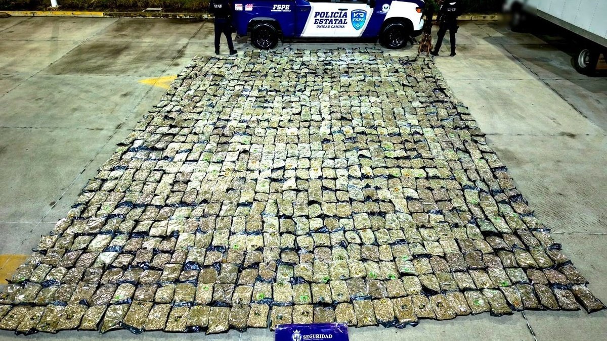 Decomiso de droga