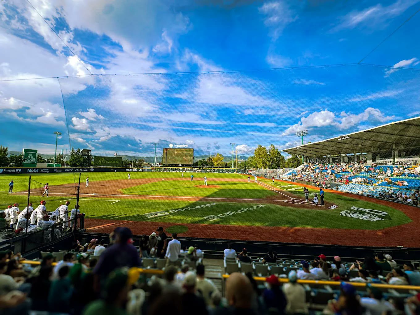 Estadio