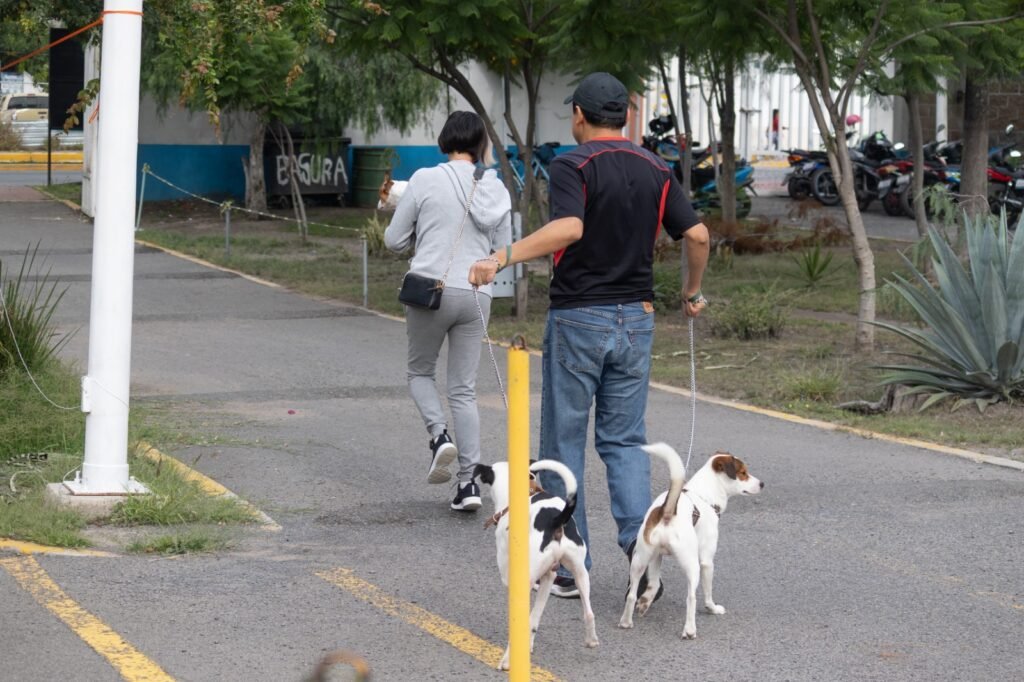 En Purísima dueños se responsabilizan de sus mascotas y las llevan a esterilizar