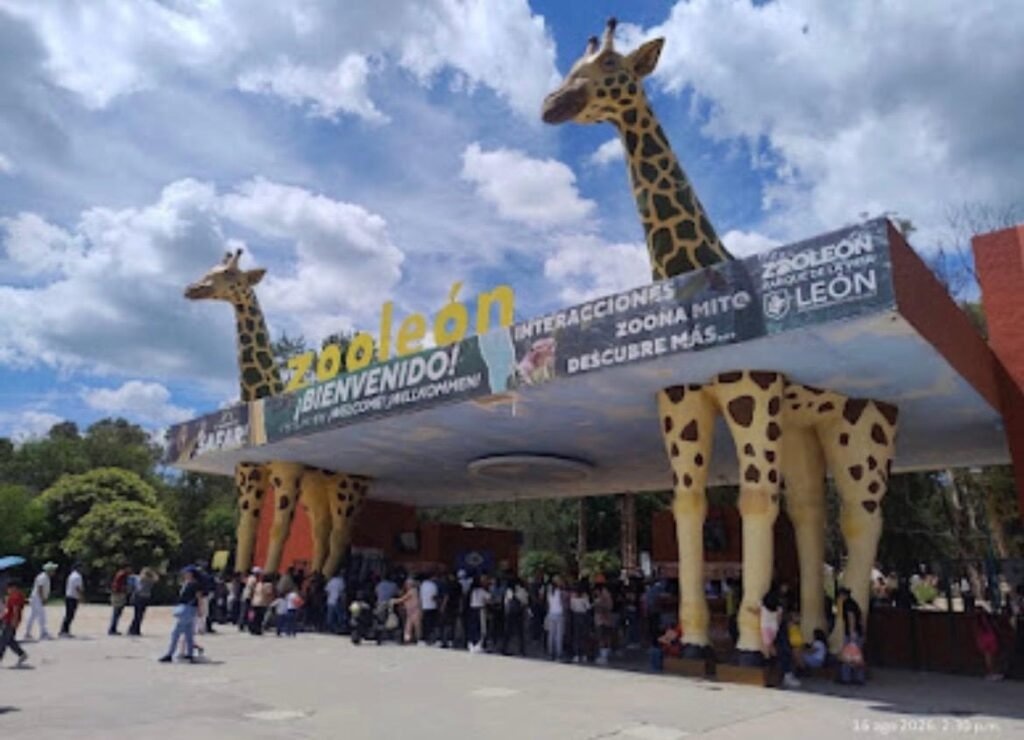 Zooleón 47 años de cuidar la vida y conservar la naturaleza